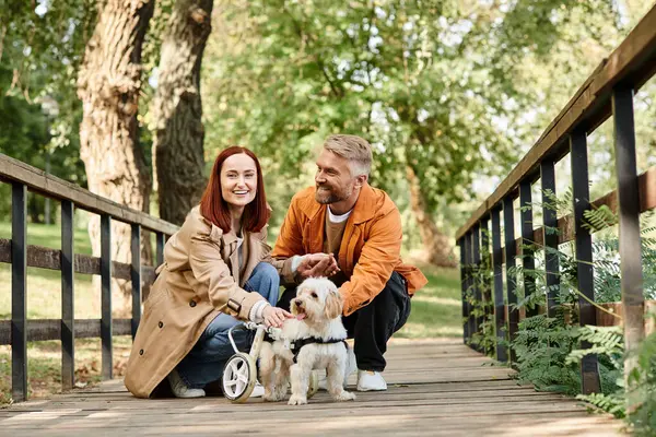 Любляча пара сидить на мосту зі своїми двома собаками, насолоджуючись мирною миттю в парку. — стокове фото
