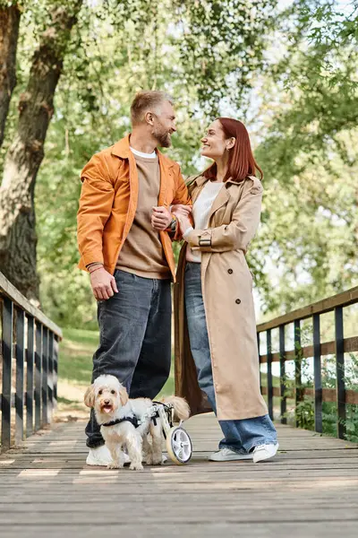 A man and woman in casual attire stand on a bridge with their dog in a park. — Stock Photo
