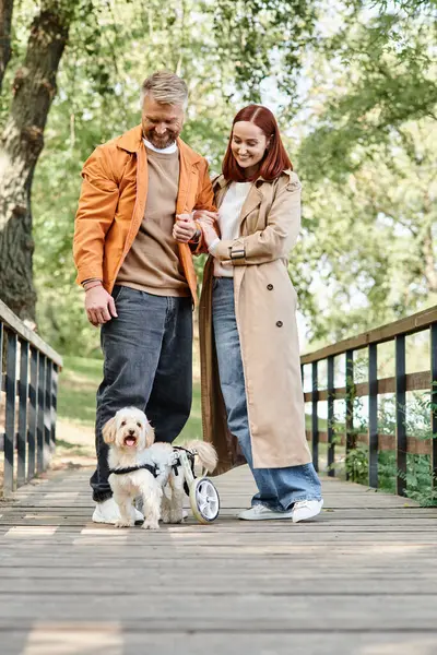 An adult couple in casual attire walks their dog on a bridge in a park. — Stock Photo