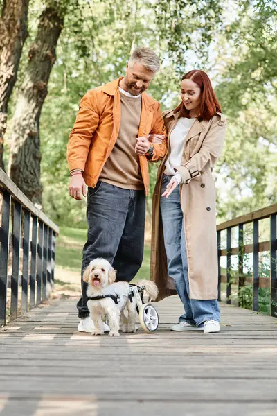 A man and woman in casual attire walk their dogs across a bridge. — Stock Photo