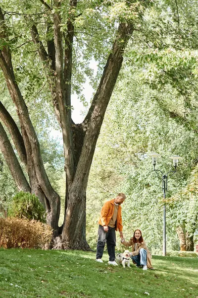 A couple walks their dog in a serene park setting. — Stock Photo