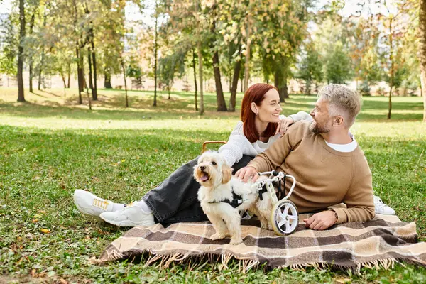 Un hombre y una mujer se sientan en una manta con su amado perro en un entorno tranquilo parque. - foto de stock