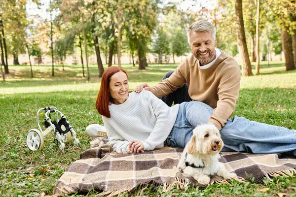 A loving couple sitting on a blanket in a park with their dog. — Stock Photo