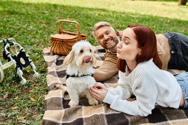 A man and woman in casual attire lay on a blanket together with their dog in a peaceful park setting. — Stock Photo