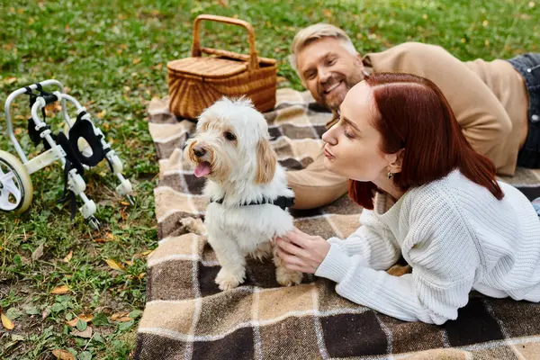 A man and woman are laying on a blanket with their dog in a peaceful park setting. — Stock Photo