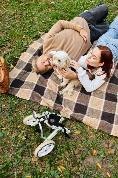 A man and woman in casual attires relax on a blanket with their dog in a sunny park. — Stock Photo