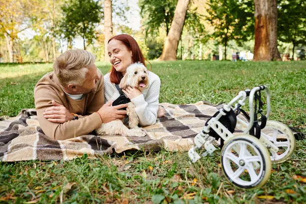 A man and woman relax on a blanket with their dog in a serene outdoor setting. — Stock Photo