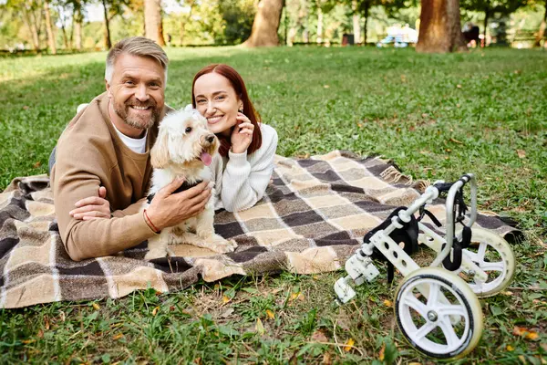 A man and woman relaxing on a blanket with their dog in a park. — Stock Photo