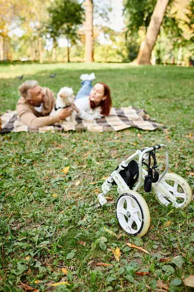 A woman relaxes on a blanket beside a loyal dog in a peaceful scene. — Stock Photo