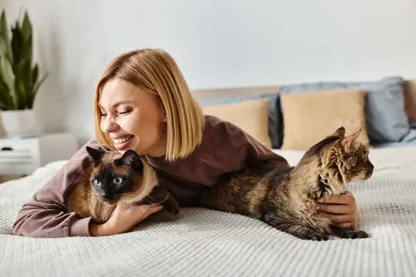 Шикарна жінка з коротким волоссям мирно сидить на ліжку, оточена двома ласкавими кішками. — стокове фото