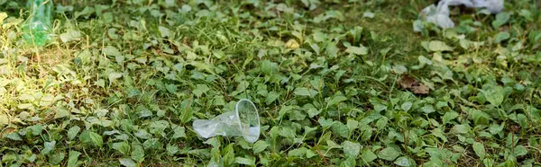 Copos de plástico deitado na grama verde vibrante. — Fotografia de Stock