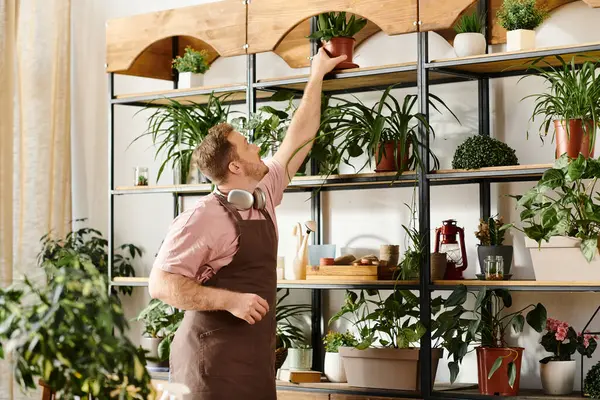 Um homem está diante de uma prateleira de plantas envasadas exuberantes em uma serena loja de plantas, mostrando conexão harmoniosa com a natureza. — Fotografia de Stock