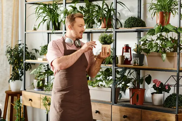 A man stands in front of a shelf filled with various potted plants in a small plant shop, embodying the essence of nature and entrepreneurship. — Stock Photo