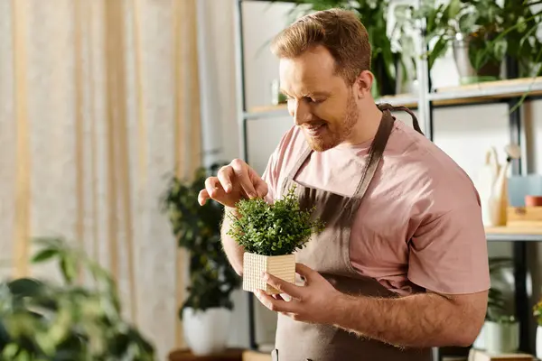 Ein Mann in Schürze hält sanft eine Topfpflanze in der Hand, die für Sorgfalt und Zärtlichkeit in einem Pflanzenladen steht. — Stockfoto