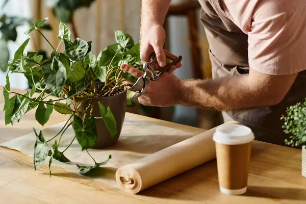 Uma pessoa meticulosamente corta uma planta em uma mesa em um ambiente de loja de plantas. — Fotografia de Stock