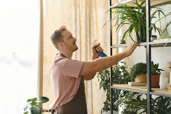 A man in a pink shirt arranges plants on a shelf in a vibrant and diverse display at a small plant shop. — Stock Photo
