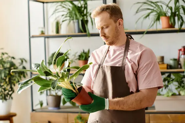 Um homem elegante em um avental segura suavemente uma planta em vaso, mostrando sua paixão por jardinagem e criatividade. — Fotografia de Stock