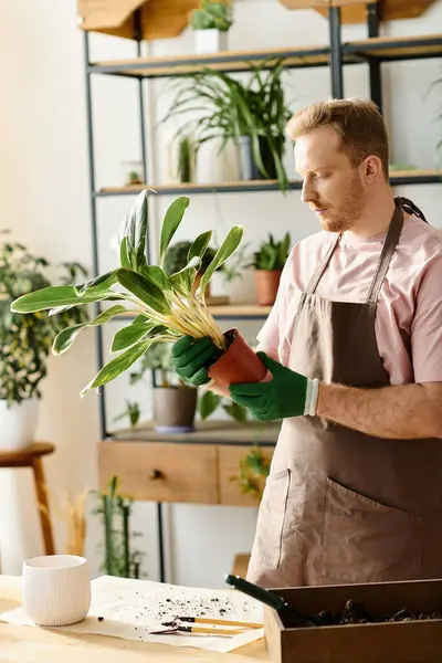 Un uomo in grembiule regge delicatamente una pianta, incarnando l'essenza di un artigiano floreale. — Foto stock