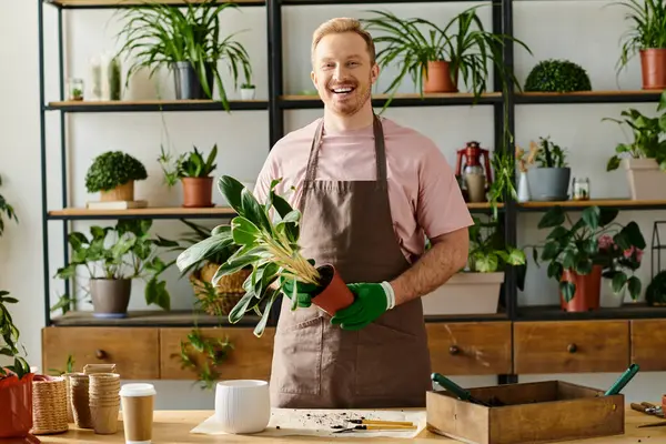 Un hombre guapo en un delantal sosteniendo una planta en maceta en una tienda de plantas, mostrando la belleza de ser dueño de una pequeña empresa. - foto de stock