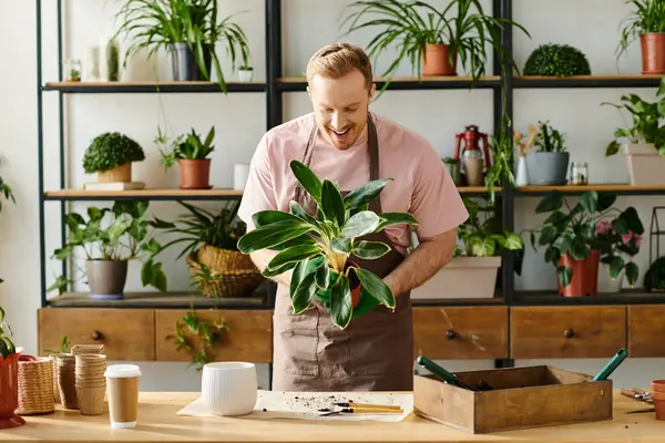 Un hombre, una mesa y una planta en maceta; una instantánea de un dueño de una pequeña empresa que atiende a su tienda con cuidado y dedicación. - foto de stock