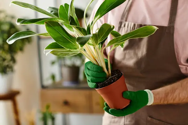 Um homem carinhosamente embala uma planta em vaso, mostrando sua paixão por jardinar e nutrir a natureza em sua pequena loja de plantas.. — Fotografia de Stock