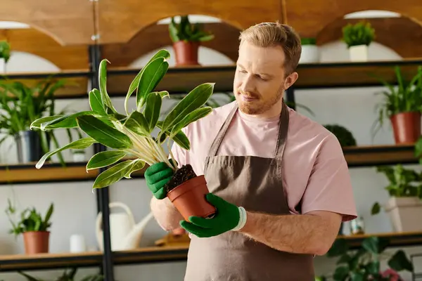 Un homme berce tendrement une plante en pot dans ses mains, montrant son soin et son dévouement à son artisanat botanique. — Photo de stock