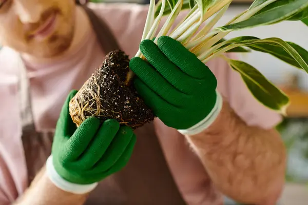 Um homem de luvas verdes segura cuidadosamente uma planta, mostrando sua dedicação a nutrir e cultivar uma nova vida em uma loja de plantas.. — Fotografia de Stock