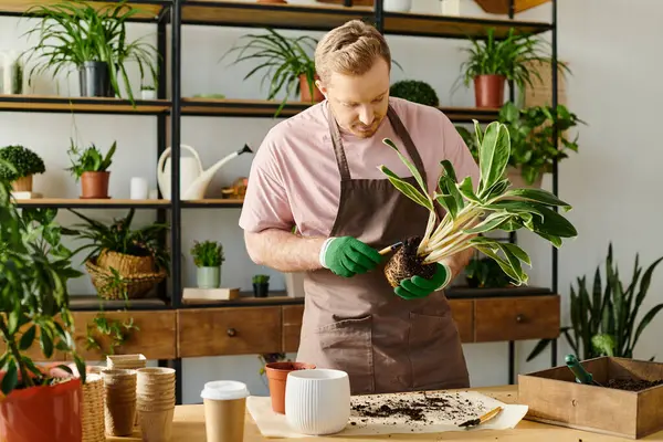 Um homem bonito em um avental tende a uma planta em uma loja de pequena empresa, incorporando o próprio conceito de negócio. — Fotografia de Stock