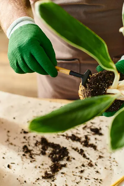 Una persona con guantes verdes desmalezando cuidadosamente una planta en una tienda de plantas, encarnando el concepto de ser dueño de una pequeña empresa. - foto de stock