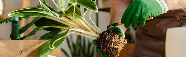 Una persona que usa guantes verdes delicadamente sostiene una planta, encarnando el cuidado y el amor por la naturaleza en un entorno de tienda de plantas. - foto de stock