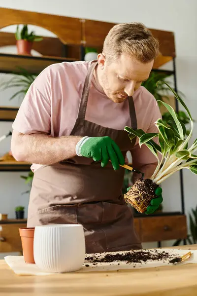 A handsome man in an apron carefully tends to a plant in his shop, embodying the essence of small business and own business concept. — Stock Photo