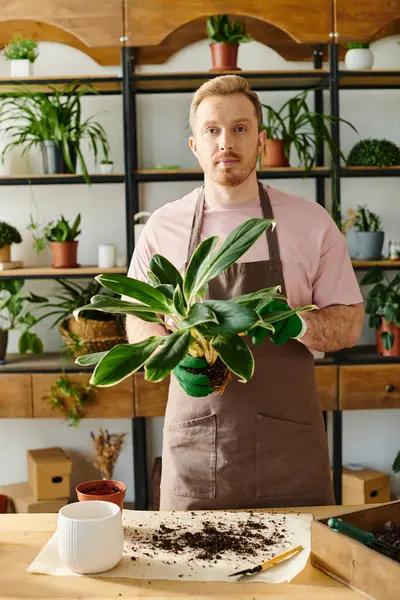 Um homem prende uma planta potted na frente de uma tabela de madeira em uma loja pequena da planta, incorporando o conceito próprio do negócio e do florist. — Fotografia de Stock
