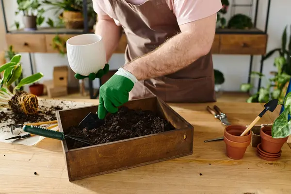 Человек в фартуке и перчатках выращивает различные растения в коробке в заводском магазине, воплощая сущность владельца малого бизнеса. — стоковое фото