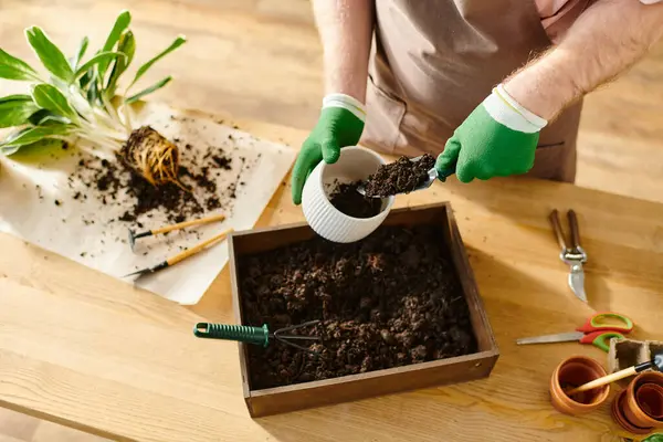 Eine Person in grünen Handschuhen, die eine Pflanze in einer Schachtel hält und auf einzigartige Weise Pflege, Natur und Geschäft präsentiert. — Stockfoto
