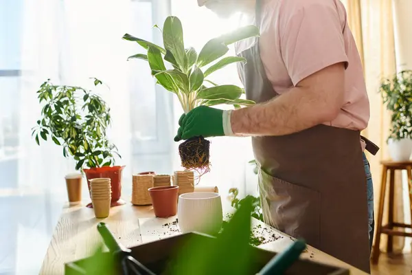 Hombre cortado en camisa rosa y guantes verdes sosteniendo una planta en maceta en una tienda de plantas, encarnando la esencia de una floristería dedicada. - foto de stock
