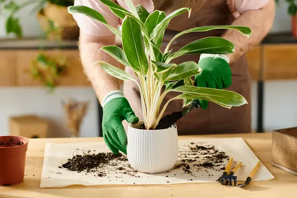 Uma pessoa com luvas verdes segurando cuidadosamente uma planta em vaso em uma loja de plantas, apresentando conceito de pequeno negócio e florista — Fotografia de Stock