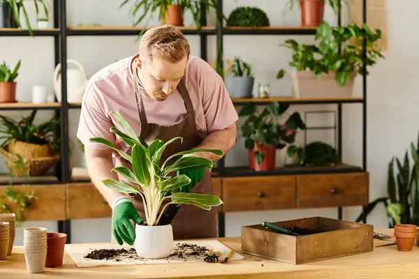 Мужчина в розовой рубашке и зеленых перчатках ухаживает за растением в маленьком магазине в саду.. — стоковое фото