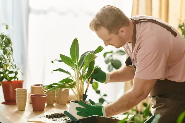 Um homem com uma camisa rosa e luvas verdes carinhosamente detém uma planta em vaso, mostrando sua paixão por cuidados com as plantas. — Fotografia de Stock