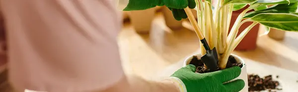 A man tenderly tends to a potted plant on a rustic table in a charming plant shop setting. — Stock Photo