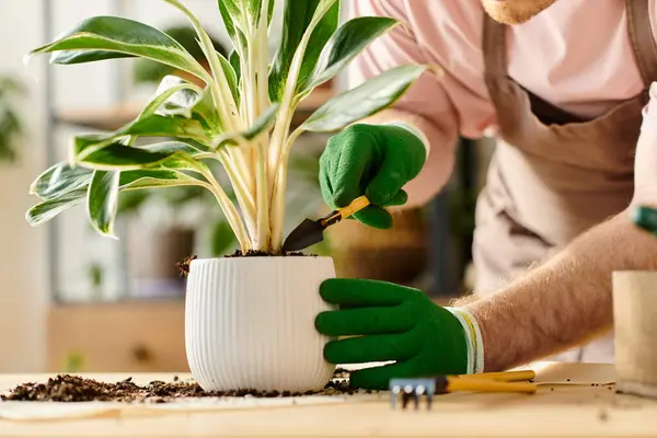 Uma pessoa em luvas verdes planta cuidadosamente uma planta verde e vibrante em um pote em uma loja de plantas de propriedade de um homem. — Fotografia de Stock