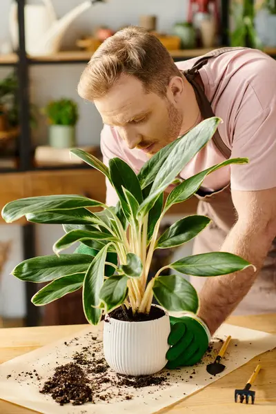 A handsome man in a pink shirt is focused on admiring a potted plant in a small plant shop, showcasing the own business concept. — Stock Photo