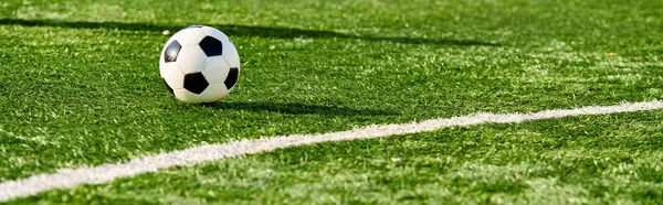 Ein lebendiger Fußballball ruht friedlich auf einem unberührten und sattgrünen Feld und ruft die Ruhe vor einem lebhaften Spiel hervor. Das üppige Gras umgibt den Ball und schafft eine beruhigende und malerische Szene. — Stockfoto