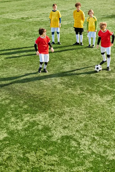 Un gruppo di ragazzi energici si erge trionfalmente su un campo da calcio, trasudando gioia e cameratismo dopo una partita. Sono circondati dalla rigogliosa erba verde e dai pali dei portieri, che mostrano la loro vittoria. — Foto stock