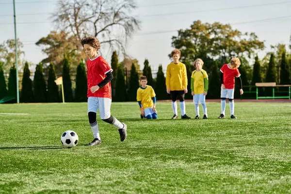 Um grupo de crianças pequenas, cheio de alegria e entusiasmo, está envolvido em um jogo espirituoso de futebol. Eles estão correndo, chutando, e passando a bola, mostrando espírito de equipe e camaradagem no campo. — Fotografia de Stock