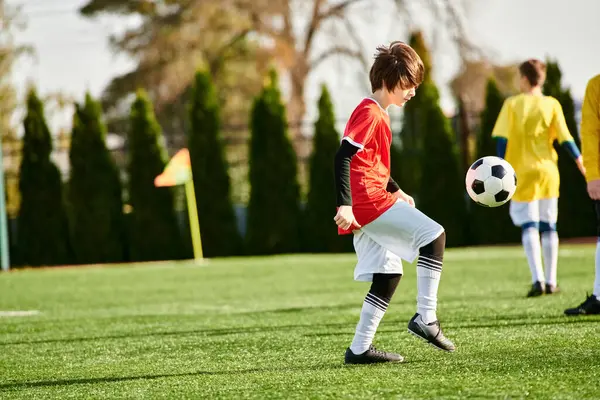 Мальчик с решительным выражением лица пинает футбольный мяч по зеленому полю. Мяч в воздухе, с мальчиками, ударяющими его ногой с силой. Трава пышная, небо чистое, предвещающее яркий солнечный день. — стоковое фото
