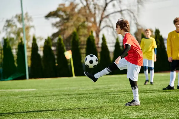 Молодой парень с решимостью пинает футбольный мяч на пышном зеленом поле, демонстрируя свою страсть и мастерство в спорте. — стоковое фото