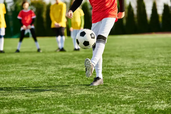 Un uomo vestito in abbigliamento sportivo prende a calci un pallone da calcio su un campo verde, mostrando precisione e abilità nel suo movimento. — Foto stock