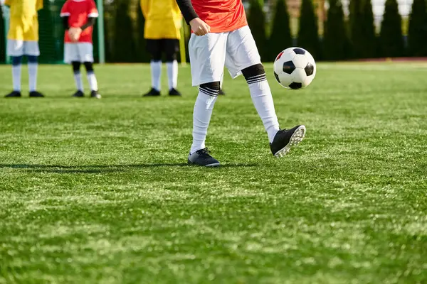 Un giovane calcia energicamente un pallone da calcio su un campo vibrante, mostrando la sua abilità e agilità nello sport.. — Foto stock