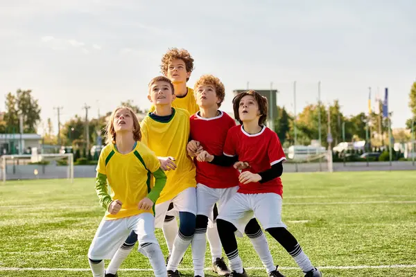 Un groupe de jeunes garçons énergiques se tiennent triomphants sur un terrain de football vert dynamique, leurs visages rayonnant d'excitation et de fierté après un match difficile. — Photo de stock