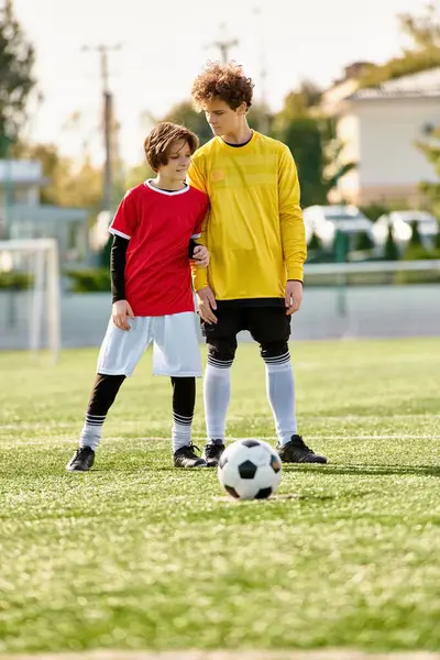 Двое молодых людей уверенно стоят на вершине футбольного поля, осматривая ландшафт под ними. Живая зеленая трава дополняет их энергичные позы, демонстрируя их любовь к красивой игре. — стоковое фото